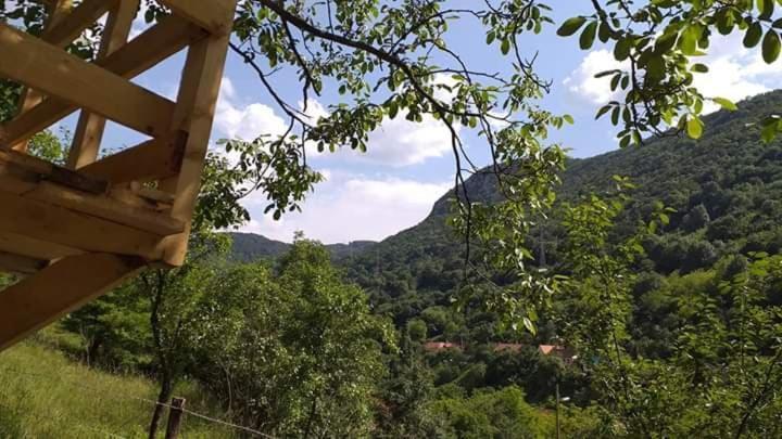 Andrei Villa Sasca Montană Exterior foto