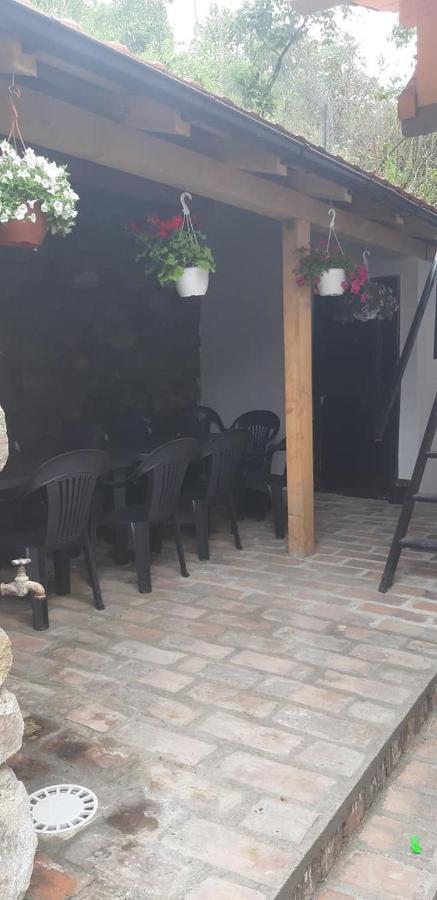 Andrei Villa Sasca Montană Exterior foto